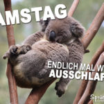 Samstag ausschlafen - Spruch mit Koala