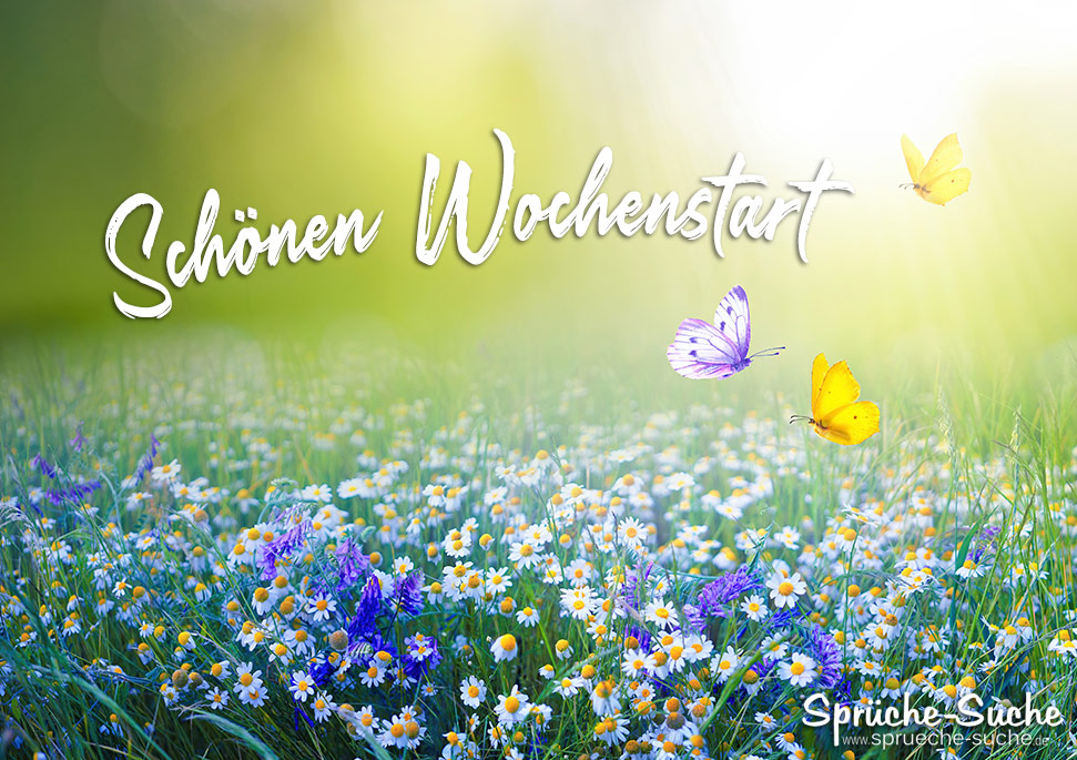 Schonen Wochenstart Spruche Suche