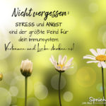 Spruch Gesundheit und Liebe