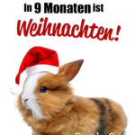 Spruch Hase Weihnachten