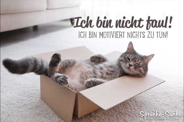 Spruch mit Katze - faul sein