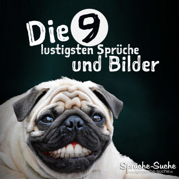 Die 9 lustigsten Sprüche und Bilder ️