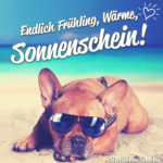 Frühling, Sommer Sonne Spruch mit Hund