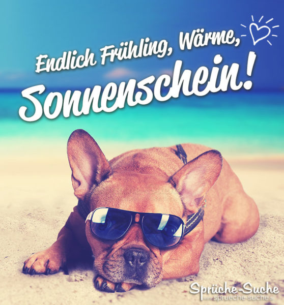 Sonne sprüche sommer meer Die 66