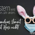 Lustiger Corona-Ostern-Spruch - Irgendwas stimmt mit Hasi nicht