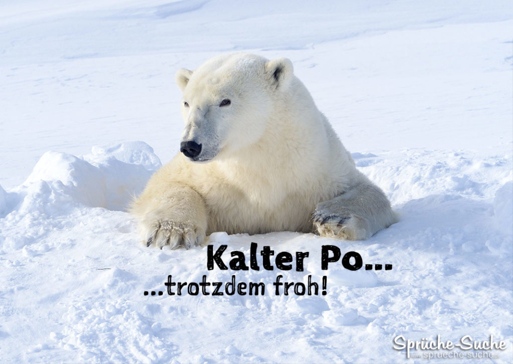 Kalter Po Trotzdem froh! Lustiger EisbärSpruch