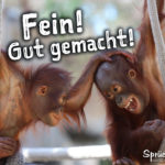 Lustiger Spruch für Freunde mit 2 Affen - Fein. Gut gemacht