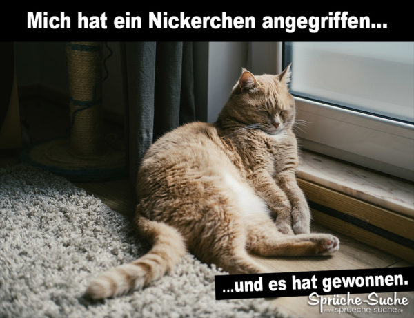 Lustiger Spruch mit Katze - Mich hat ein Nickerchen angegriffen