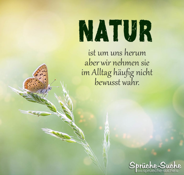 Natur ist um uns herum Sprüche zum Nachdenken