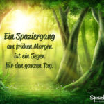 Spazieren gehen Sprüche