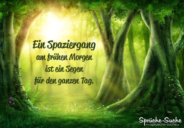 Spazieren gehen Sprüche