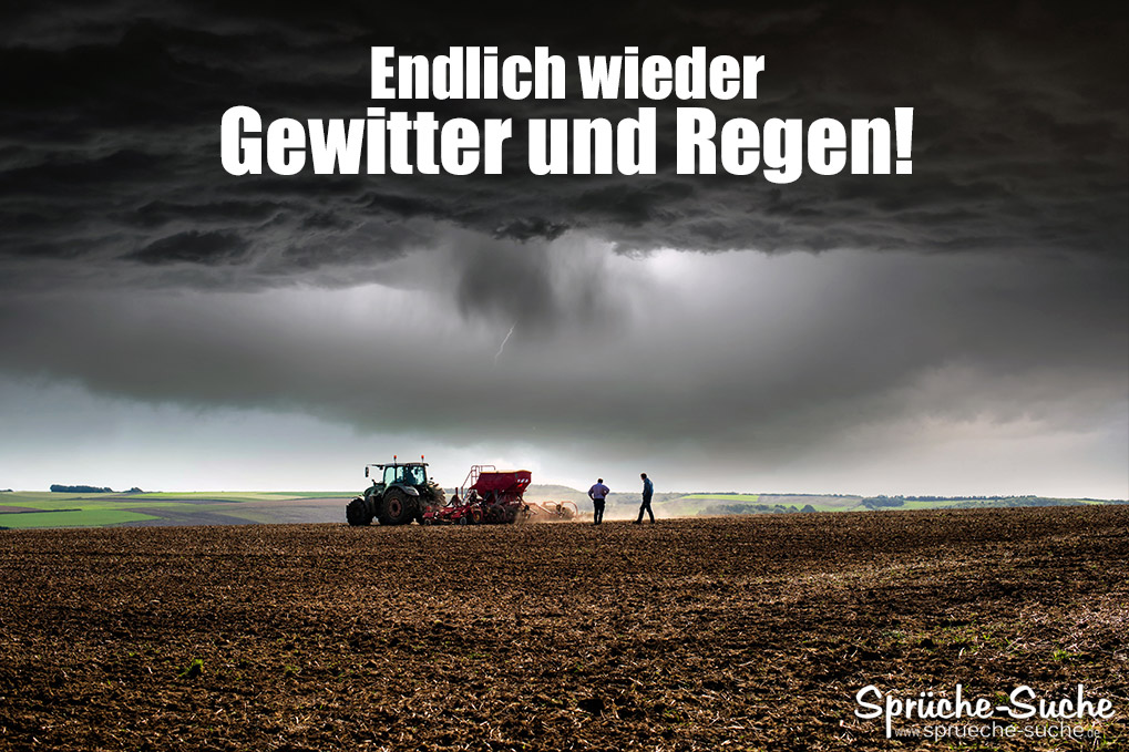 Regen Lustige Bilder Lustige Bilder Spruche Regen