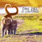 Das Ziel ist zweitrangig - Spruch mit Katzenmotiv