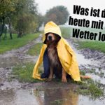 Scheisswetter Scheiss Wetter Lustige Spruche Und Lustiger