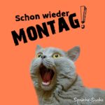 Schon wieder Montag Spruch mit erschrockener Katze