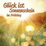 Spruch Glück ist Sonnenschein im Frühling