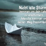 Spruch zum Nachdenken - Nicht alle Stürme kommen um dein Leben zu erschüttern.