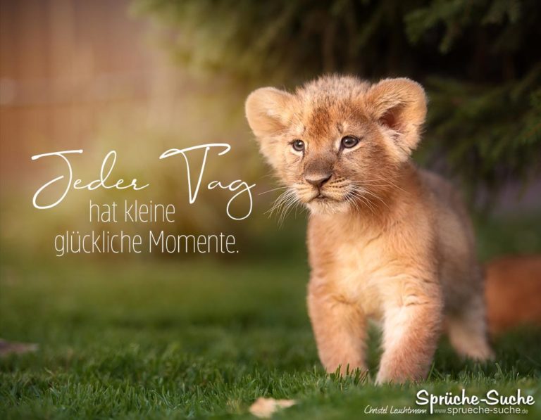 Jeder Tag hat kleine glückliche Momente SprücheSuche