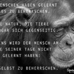 Spruch zum Nachdenken - Die Menschen haben gelernt alles zu beherrschen