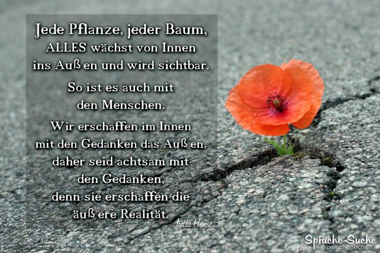 ALLES wächst von Innen ins Außen Jutta Hense
